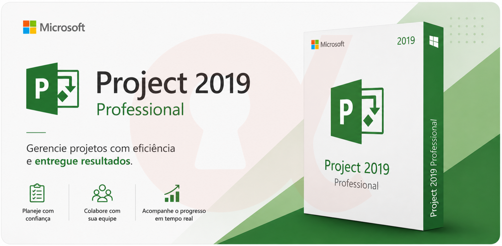 Project 2019 professional banner - alfakey